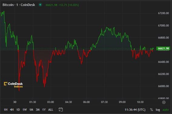 BTC price, FMA July 30 2024 (CoinDesk)