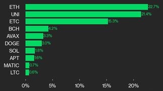 CoinDesk 20 leaders (CoinDesk Indices)