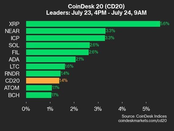 CoinDesk 20 leaders (CoinDesk Indices)