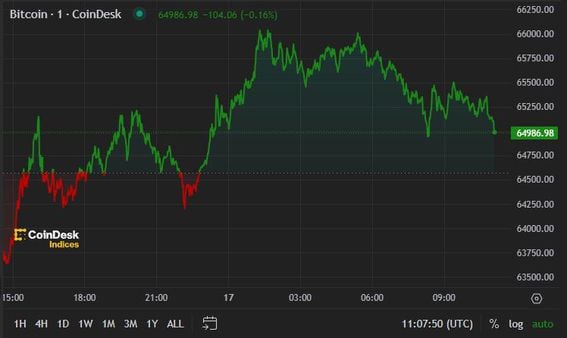 BTC price, FMA July 17 2024 (CoinDesk)