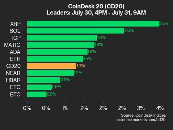 9am CoinDesk 20 Update for 2024-07-31: Leaders