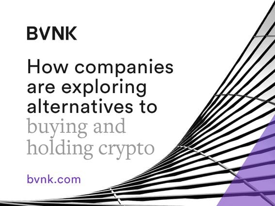 Coindesk Banner_How Companies Are Exploring Alternatives to Buying and Holding Crypto.jpg