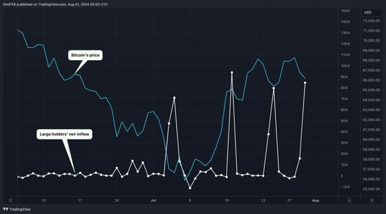 Large holders resorted to strategic accumulation, taking advantage of price dips in July. (IntoTheBlock, TradingView)