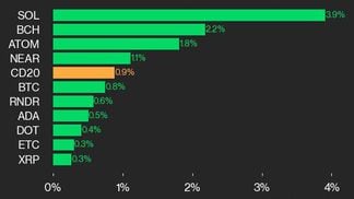 CoinDesk 20 leaders (CoinDesk Indices)