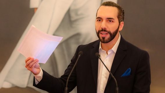 El Salvador Buys $15 Million Worth Of Bitcoin 'Really Cheap,' President  Crows, As Selloff Continues