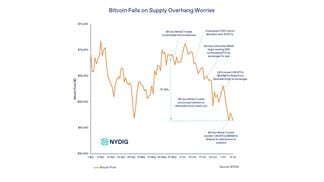 Bitcoin's decline coincided with investor worries about supply overhangs (NYDIG)