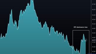 Bitcoin market dominance ratio (Damanick Dantes/CoinDesk, TradingView)