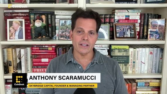 CoinDesk Spotlight: Anthony Scaramucci on the 2024 Election, His Days in the White House and FTX