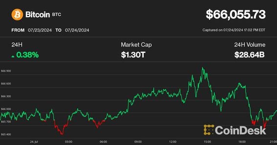 Bitcoin price on July 24 (CoinDesk)