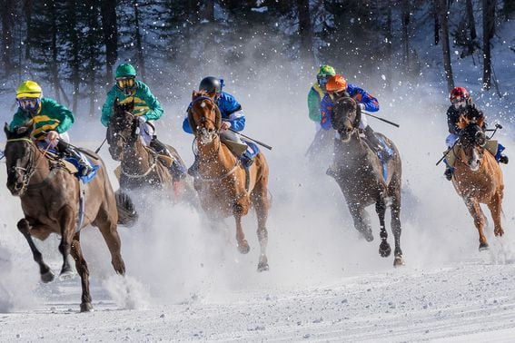 Horse race, gallop. (marcelkessler/Pixabay)
