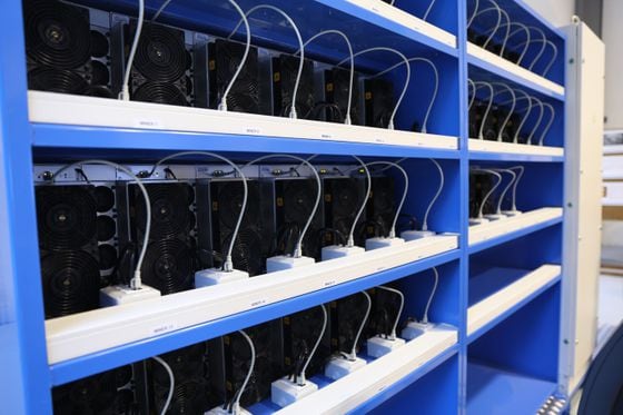 Whirring away on a shelf at the back of Alta Novella's turbine room are 40 ASIC bitcoin miners. (Sandali Handagama/CoinDesk)