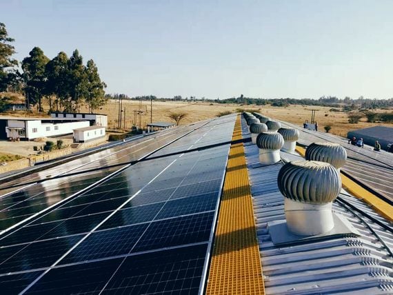 Nhimbe Fresh's new solar panels. (Sun Exchange)