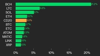 CoinDesk 20 leaders (CoinDesk Indices)