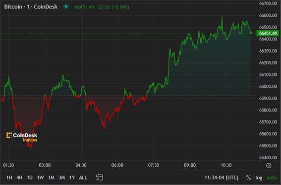 BTC price, FMA July 24 2024 (CoinDesk)