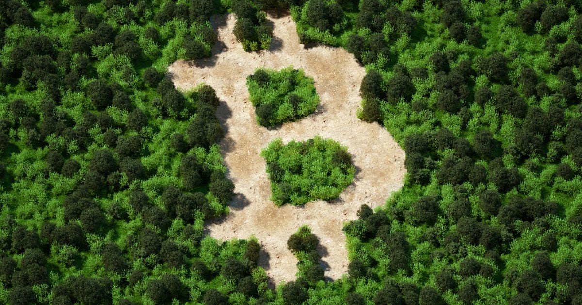 crypto environmental