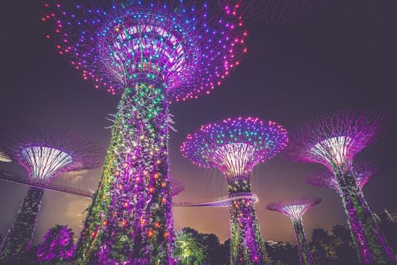 Singapore's artificial trees