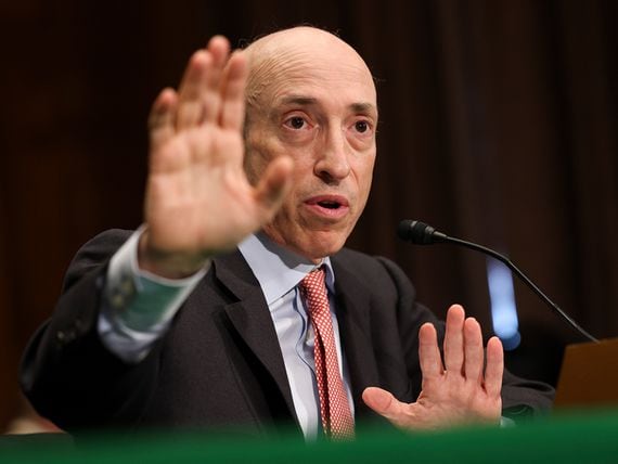 Securities and Exchange Commission (SEC) Chair Gary Gensler testifies before the Senate Banking, Housing, and Urban Affairs Committee, on Capitol Hill, September 15, 2022 in Washington, DC.  (Kevin Dietsch/Getty Images)