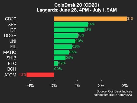 9am CoinDesk 20 Update for 2024-07-01 - laggards