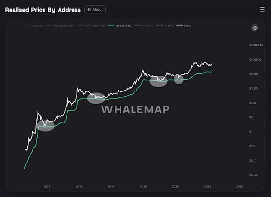 (Whalemap)
