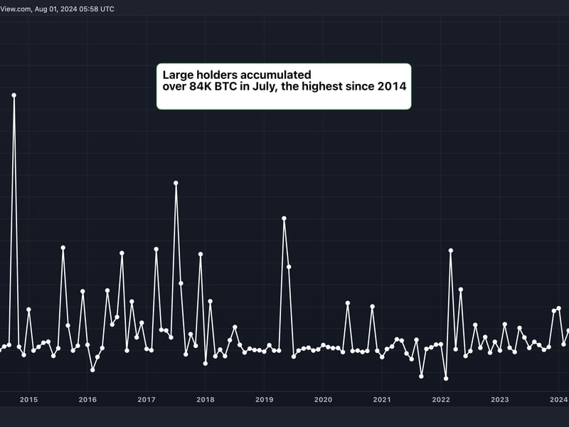 Large Bitcoin Holders Added $5.4B in BTC in July, Data Show