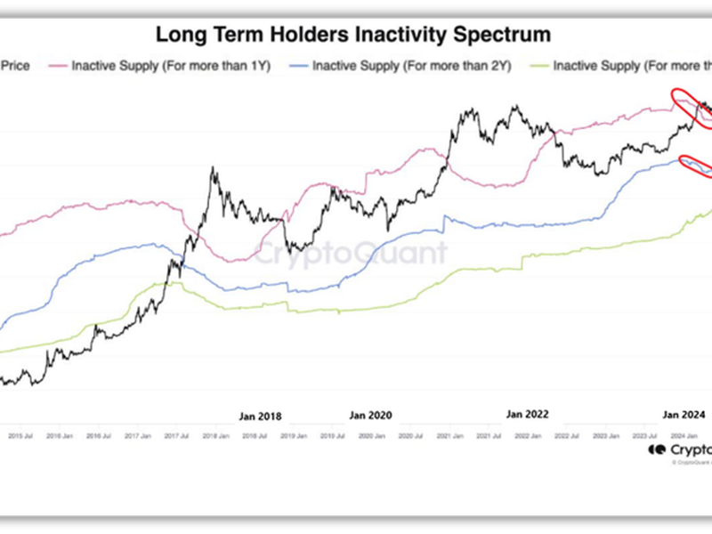 Long term holders inactivity spectrum. (Ilan Solot, CryptoQuant)