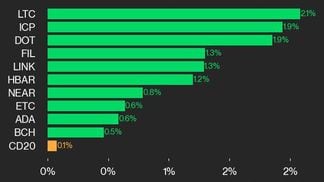 9am CoinDesk 20 Update for 2024-08-15: leaders