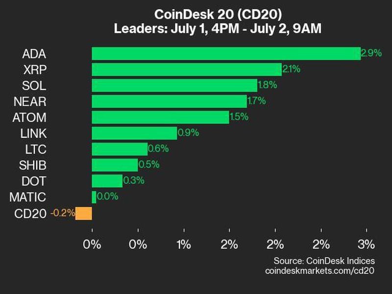 CoinDesk 20 Performance Update: ADA and XRP Lead