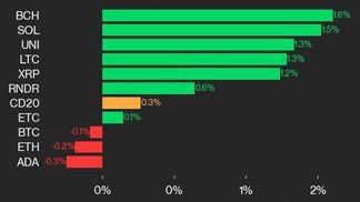 CoinDesk 20 leaders (CoinDesk Indices)