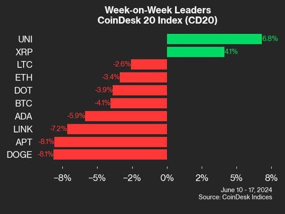 CoinDesk 20 leaders (CoinDesk Indices)