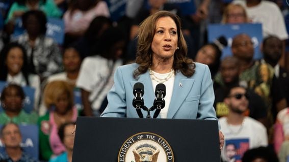 At least one crypto leader is backing Democratic presidential candidate Kamala Harris.  (Megan Varner/Getty Images)