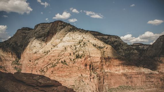 Grayscale's outflows overshadow big inflows from the rest of the ether ETFs. (Fineas Anton/Unsplash)