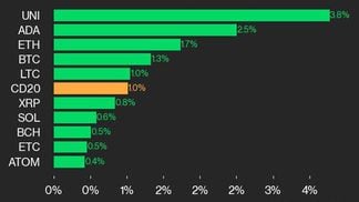 9am CoinDesk 20 Update for 2024-08-16: leaders