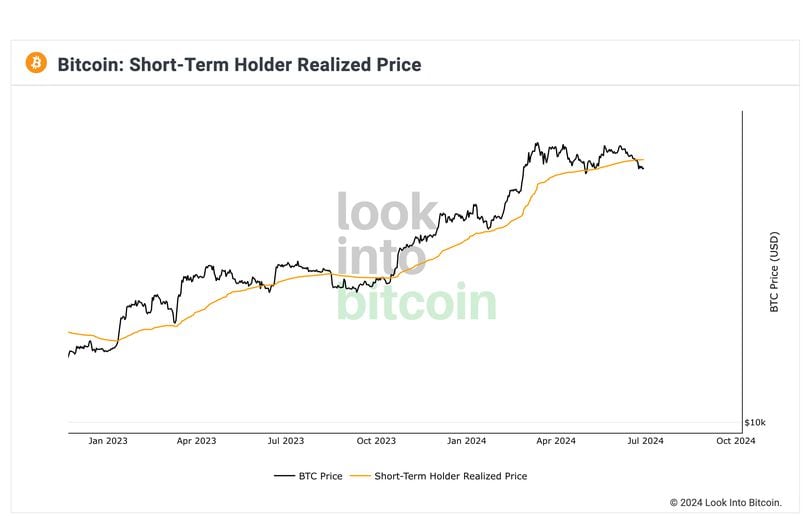 Bitcoin short-term holder realized price or average cost basis. (LookIntoBitcoin)