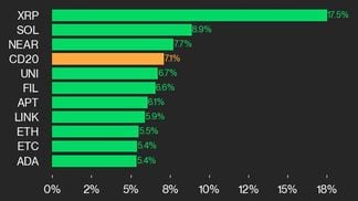 CoinDesk 20 leaders (CoinDesk Indices)