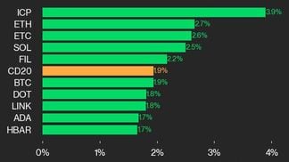 CoinDesk 20 leaders (CoinDesk Indices)