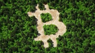 Forest cut in shape of bitcoin sign (Getty)
