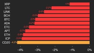 CoinDesk 20 leaders (CoinDesk Indices)