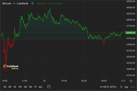 BTC price, FMA July 22 2024 (CoinDesk)