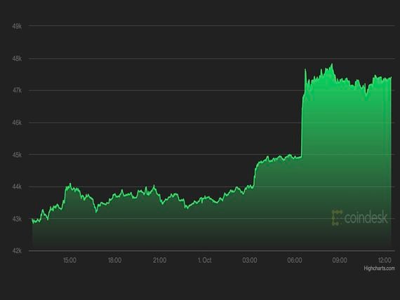 Bitcoin 24-hour chart (CoinDesk)