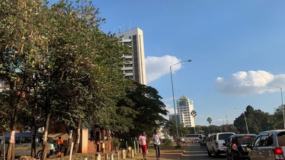 Zimbabwe, Harare (Camomile Shumba / CoinDesk)