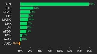 CoinDesk 20 leaders (CoinDesk Indices)