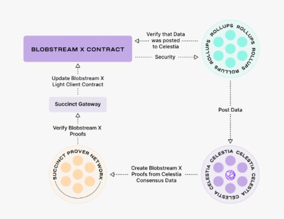 bitcoins Schematic showing how Celestia's Blobstream works. (Celestia)