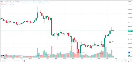 Bitcoin Hourly Chart 05/02/23 (TradingView)