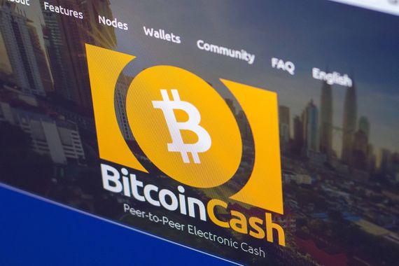 Bitcoin Cash (Shutterstock)