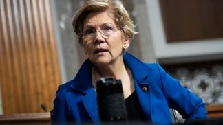 Senator Elizabeth Warren (Drew Angerer/Getty Images)